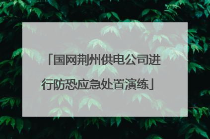 国网荆州供电公司进行防恐应急处置演练