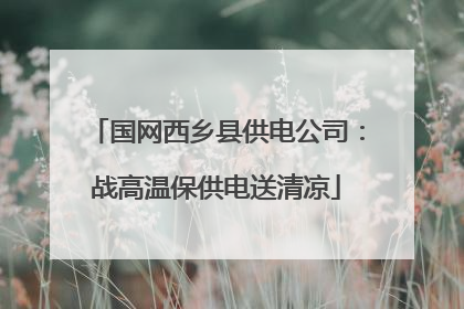 国网西乡县供电公司：战高温保供电送清凉