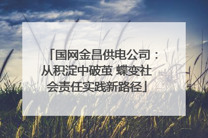 国网金昌供电公司：从积淀中破茧 蝶变社会责任实践新路径