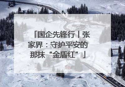 国企先锋行丨张家界：守护平安的那抹“金盾红”