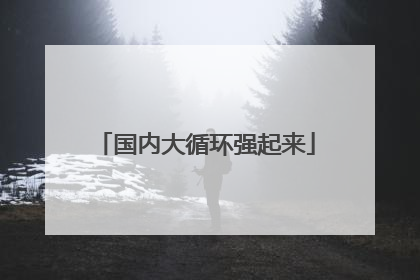 国内大循环强起来