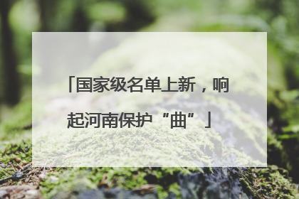 国家级名单上新，响起河南保护“曲”