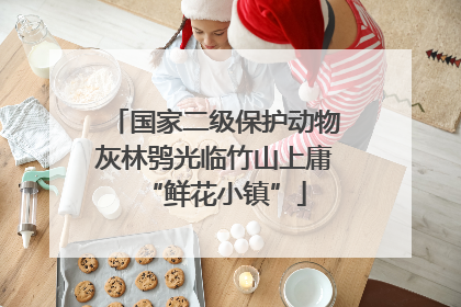 国家二级保护动物灰林鸮光临竹山上庸“鲜花小镇”