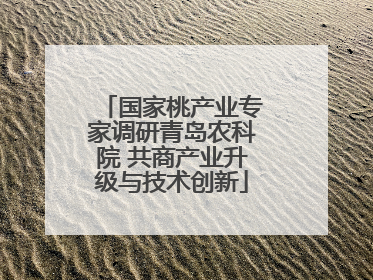 国家桃产业专家调研青岛农科院 共商产业升级与技术创新