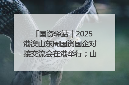 国资驿站｜2025港澳山东周国资国企对接交流会在港举行；山东黄金成功在境外发行3亿美元绿色债券