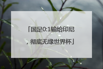 国足0:1输给印尼，彻底无缘世界杯