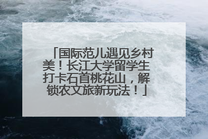 国际范儿遇见乡村美！长江大学留学生打卡石首桃花山，解锁农文旅新玩法！