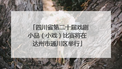 四川省第二十届戏剧小品（小戏）比赛将在达州市通川区举行