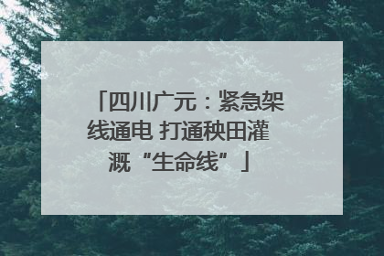 四川广元：紧急架线通电 打通秧田灌溉“生命线”