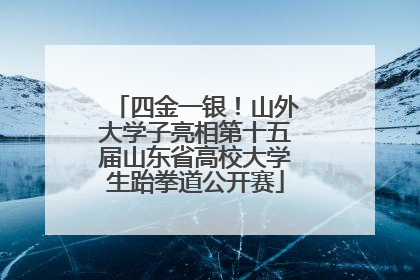 四金一银！山外大学子亮相第十五届山东省高校大学生跆拳道公开赛