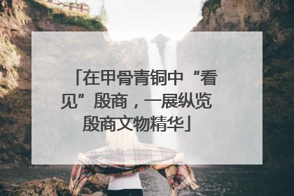 在甲骨青铜中“看见”殷商，一展纵览殷商文物精华