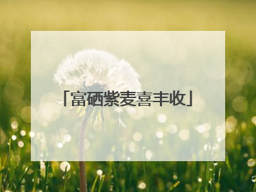 富硒紫麦喜丰收