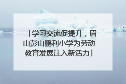 学习交流促提升，眉山彭山鹏利小学为劳动教育发展注入新活力