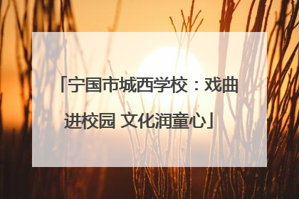 宁国市城西学校：戏曲进校园 文化润童心