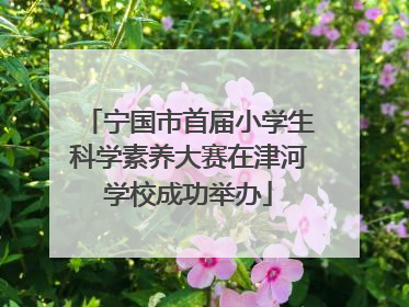 宁国市首届小学生科学素养大赛在津河学校成功举办