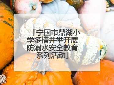 宁国市鼎湖小学多措并举开展防溺水安全教育系列活动