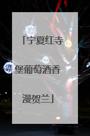 宁夏红寺堡葡萄酒香漫贺兰