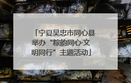 宁夏吴忠市同心县举办“粽韵同心·文明同行”主题活动