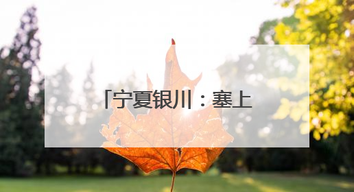宁夏银川：塞上端午聚同心 港澳台侨共传情