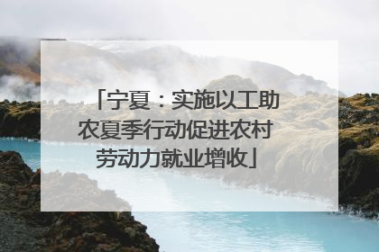 宁夏：实施以工助农夏季行动促进农村劳动力就业增收