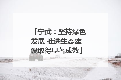 宁武：坚持绿色发展 推进生态建设取得显著成效