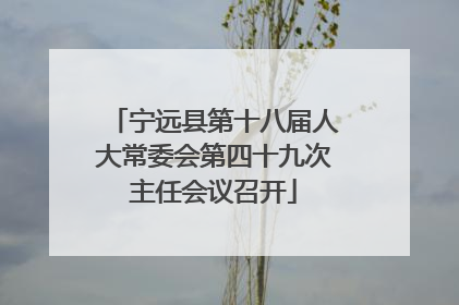 宁远县第十八届人大常委会第四十九次主任会议召开