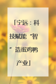 宁远：科技赋能“智”造蛋鸡鸭产业