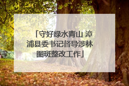 守好绿水青山 漳浦县委书记督导涉林图斑整改工作