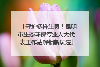 守护多样生灵！昆明市生态环保专业人大代表工作站解锁新玩法