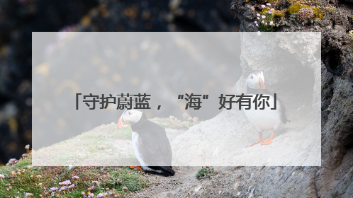 守护蔚蓝，“海”好有你
