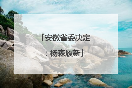 安徽省委决定：杨森履新