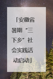 安徽省暑期“三下乡”社会实践活动启动