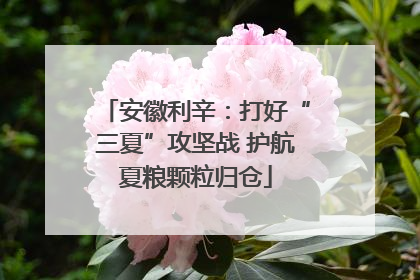 安徽利辛：打好“三夏”攻坚战 护航夏粮颗粒归仓