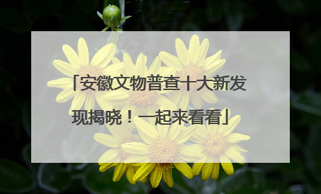 安徽文物普查十大新发现揭晓！一起来看看