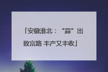 安徽淮北：“蒜”出致富路 丰产又丰收