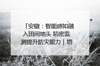 安徽：智能感知融入田间地头 精密监测提升防灾能力｜增发国债气象项目落地见效系列报道