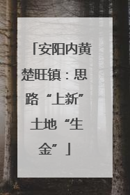 安阳内黄楚旺镇：思路“上新” 土地“生金”