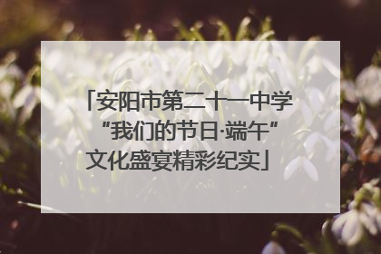 安阳市第二十一中学“我们的节日·端午”文化盛宴精彩纪实
