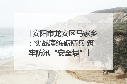 安阳市龙安区马家乡：实战演练砺精兵 筑牢防汛“安全堤”