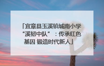宜章县玉溪镇城南小学“溪韧中队”：传承红色基因 锻造时代新人