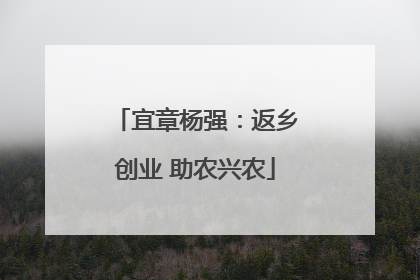 宜章杨强：返乡创业 助农兴农