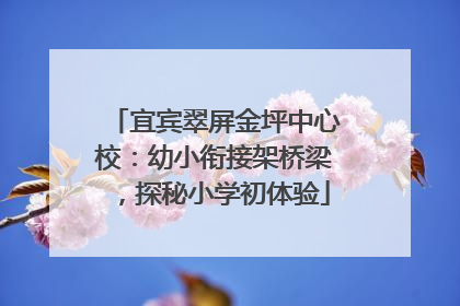 宜宾翠屏金坪中心校：幼小衔接架桥梁，探秘小学初体验