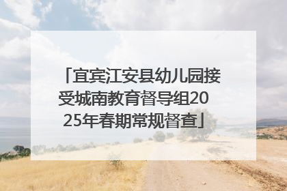 宜宾江安县幼儿园接受城南教育督导组2025年春期常规督查