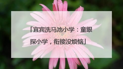 宜宾洗马池小学：童眼探小学，衔接没烦恼