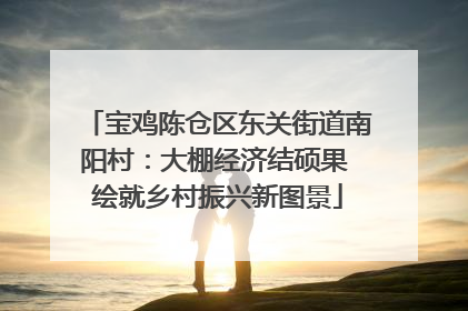 宝鸡陈仓区东关街道南阳村：大棚经济结硕果 绘就乡村振兴新图景