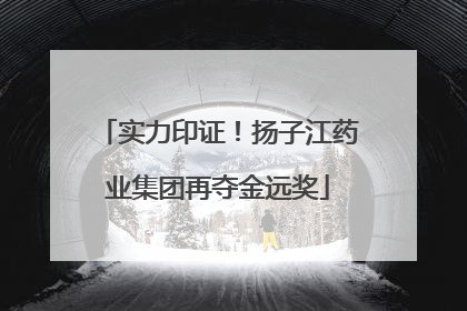 实力印证！扬子江药业集团再夺金远奖