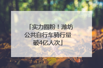 实力圈粉！潍坊公共自行车骑行量破4亿人次