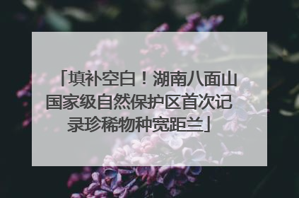 填补空白！湖南八面山国家级自然保护区首次记录珍稀物种宽距兰