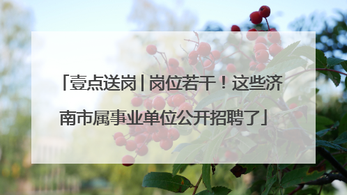 壹点送岗│岗位若干！这些济南市属事业单位公开招聘了