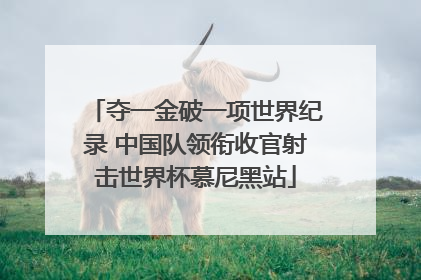 夺一金破一项世界纪录 中国队领衔收官射击世界杯慕尼黑站
